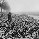 Image for article titled The 10 Biggest Misconceptions About the First World War